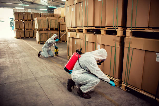 Best Wasp Removal Services  in South Kensington, MD