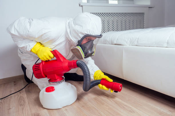 Best Termite Control Services  in South Kensington, MD