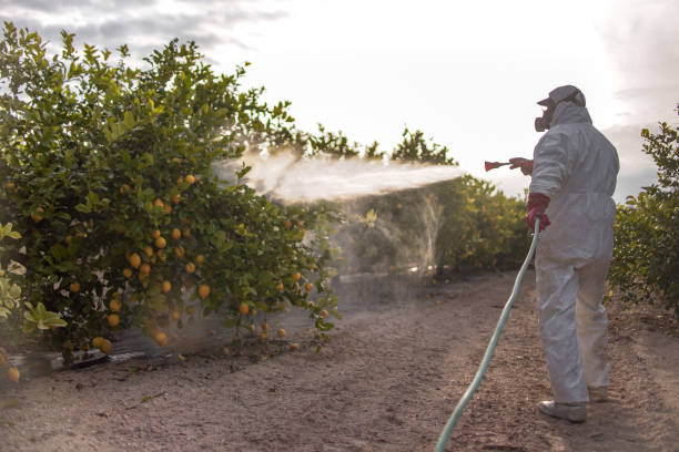 Best Pest Control Near Me  in South Kensington, MD