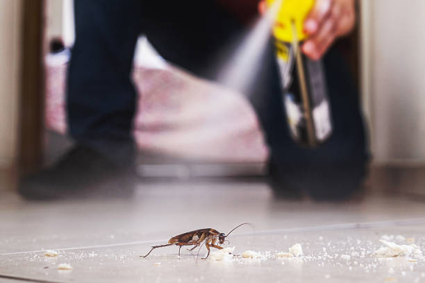 Best Pest Control Near Me  in South Kensington, MD